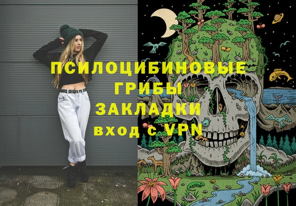 скорость Алзамай