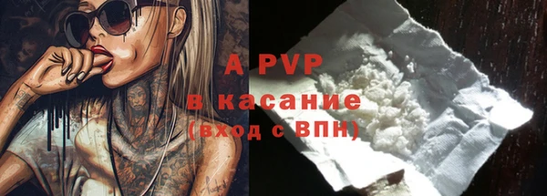 спиды Абаза