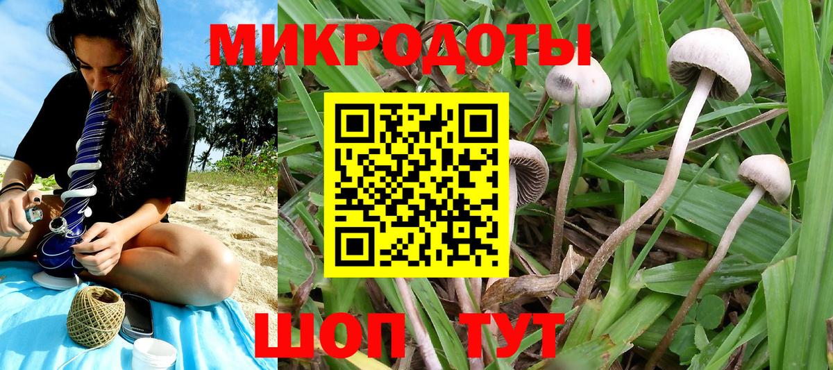 Псилоцибиновые грибы ЛСД Бийск